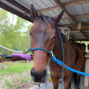 Meet your Posher, Addisen